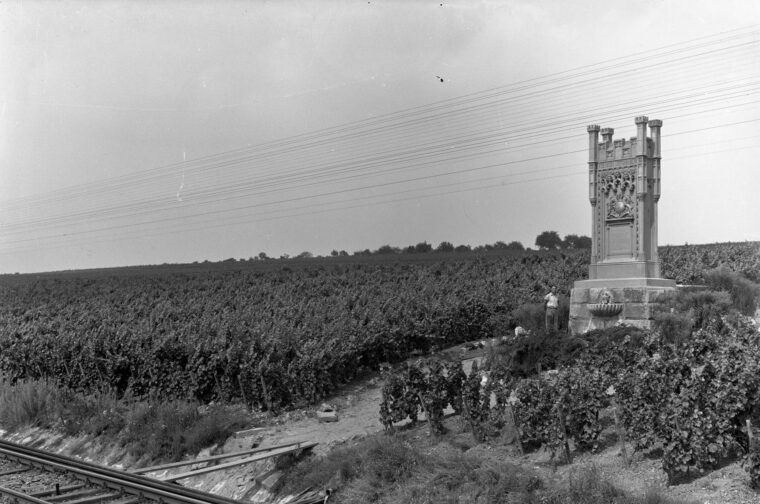 Ein Bild des monumentalen Königin-Victoria-Denkmals, umgeben von Weinbergen. Eine Person steht neben dem Denkmal, das detailreich und majestätisch in der Mitte der Landschaft aufragt.