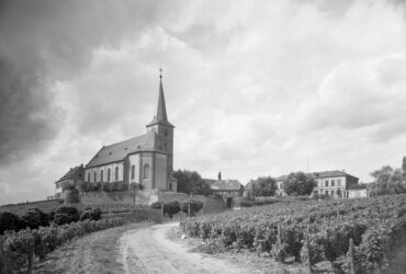 Die Pfarrkirche St. Peter und Paul ist von Weinbergen und einer ländlichen Straße umgeben. Die Kirche steht stolz auf einer kleinen Anhöhe, und der sonnige Himmel und die gepflegten Weinreben vermitteln eine friedliche und idyllische Atmosphäre.