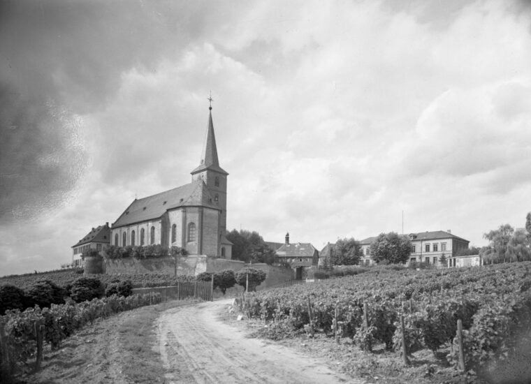 Die Pfarrkirche St. Peter und Paul ist von Weinbergen und einer ländlichen Straße umgeben. Die Kirche steht stolz auf einer kleinen Anhöhe, und der sonnige Himmel und die gepflegten Weinreben vermitteln eine friedliche und idyllische Atmosphäre.