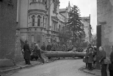 Auf dem Foto ist eine Gruppe Männer zu sehen, die einen großen Baum vor dem Gebäude der Firma Fuchs & Werum in Hochheim gefällt haben. Umstehende Erwachsene und Kinder beobachten das Geschehen auf der Straße.