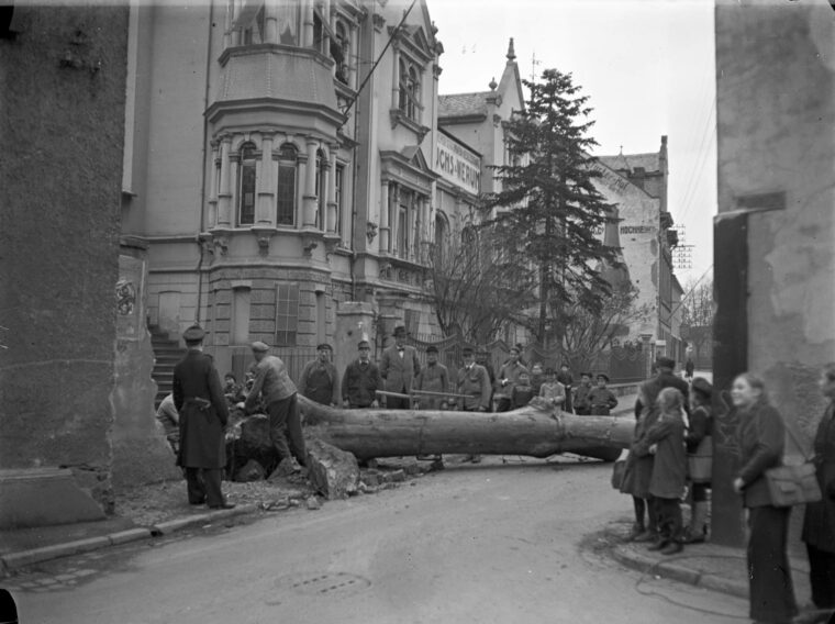 Auf dem Foto ist eine Gruppe Männer zu sehen, die einen großen Baum vor dem Gebäude der Firma Fuchs & Werum in Hochheim gefällt haben. Umstehende Erwachsene und Kinder beobachten das Geschehen auf der Straße.