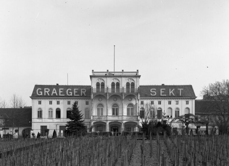 Die Fassade der Sektkellerei Carl Graeger, ein imposantes Gebäude mit der Aufschrift "Graeger Sekt" auf dem Dach. Vor dem Gebäude erstrecken sich Weinreben, die zu den Weinbergen der Kellerei gehören.