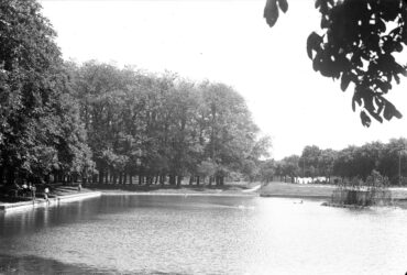 Das Foto zeigt einen ruhigen Weiher in Hochheim, gesäumt von einer Reihe hoher Bäume. Am Ufer sitzen und stehen mehrere Menschen, die das Wasser und die beiden darauf schwimmenden Schwäne beobachten. Die Szene wirkt idyllisch und friedlich.