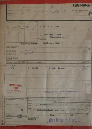 Der abgebildete Eilfrachtbrief aus dem Jahr 1943 dokumentiert den Versand eines lebendigen Schwans in einer Kiste von Nürnberg nach Hochheim am Main.