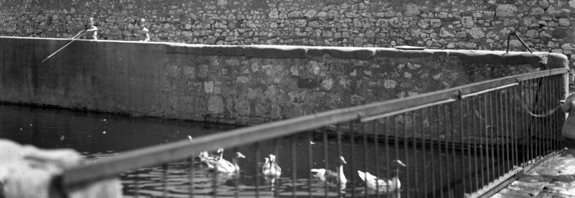 Das Foto zeigt die Hochheimer Backeswied. Kinder stehen auf der Mauer und beobachten Enten im Wasser, während im Vordergrund ein Geländer sichtbar ist.