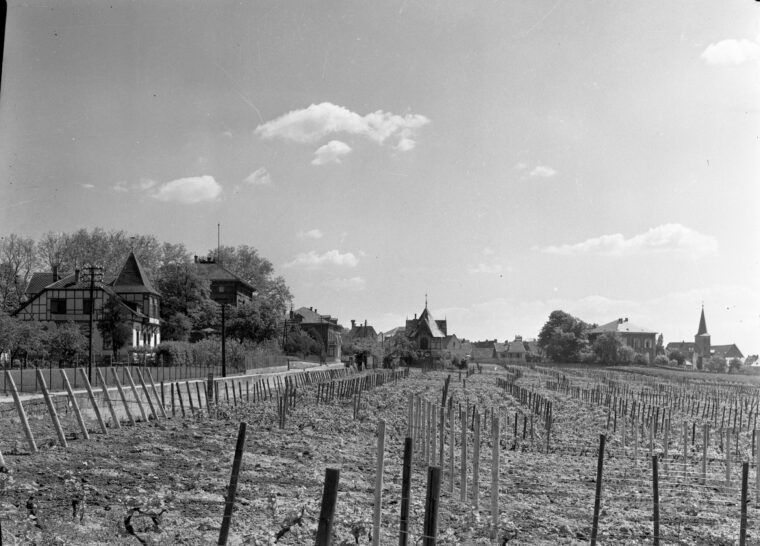 Das Bild zeigt das Daubhäuschen in Hochheim, umgeben von einer ländlichen Landschaft mit Weinbergen im Vordergrund. Der Himmel und weist nur wenige Wolken auf, während die malerischen Fachwerkhäuser und der Kirchturm die Szenerie im Hintergrund dominieren.