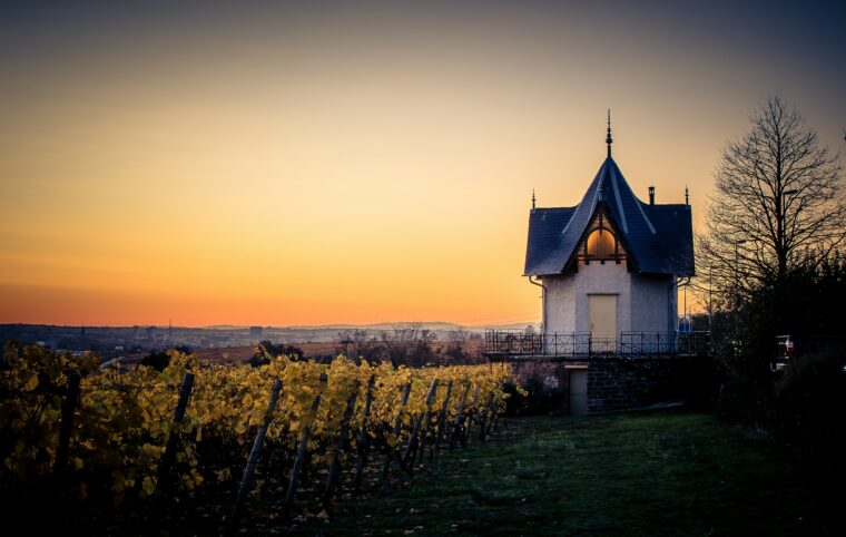 Das Foto zeigt das Daubhäuschen, ein kleines, historisches Gebäude, das malerisch über den herbstlichen Weinbergen von Hochheim thront. Der Himmel erstrahlt in warmen Orange- und Gelbtönen, während das sanfte Zwielicht die Umgebung in ein goldenes Leuchten taucht.