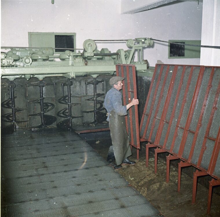 Das Bild zeigt einen Arbeiter in einer Produktionsanlage der Hochheimer Malzfabrik. Er steht neben großen mechanischen Mischern und richtet ein Gitter auf. Diese Szene veranschaulicht einen Arbeitsschritt in der Malzproduktion.