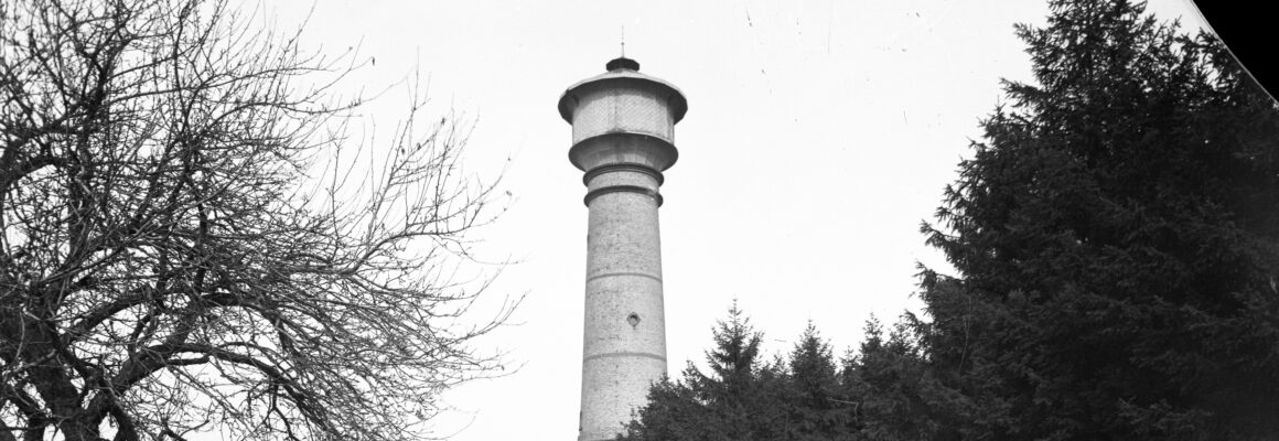 Das Foto zeigt einen Wasserturm, der zwischen Bäumen hervorragt. Im Vordergrund rechts sind kahle Äste eines Baumes zu sehen.