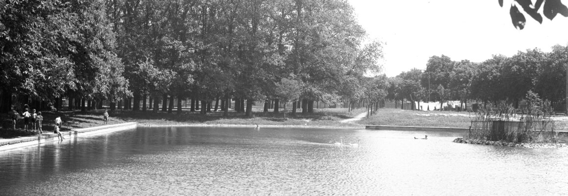 Das Foto zeigt den Hochheimer Weiher mit dichtem Baumbestand im Hintergrund. Am Ufer spielen Kinder, während einige Enten auf dem Wasser schwimmen.