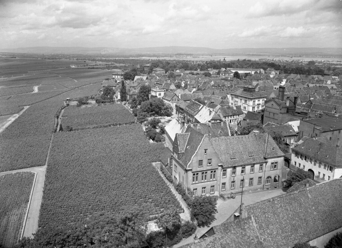 Das Bild zeigt einen weiten Blick von der Kirche St. Peter & Paul auf die Stadt Hochheim, einschließlich des Hochheimer Amtsgerichts und der umliegenden Gebäude. Die Dächer der Stadt erstrecken sich über ein großes Gebiet, während die umgebenden Felder und Weinberge in die Ferne reichen.