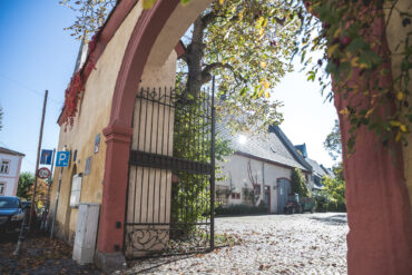 Das Bild zeigt das Eingangstor des Domänenhofs in Hochheim, das von der Kirchstraße aus zu sehen ist. Der Torbogen aus gelblichem Mauerwerk mit roten Akzenten ist mit einem schmiedeeisernen Gittertor versehen.